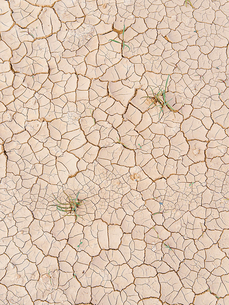 Pexels Santiago Manuel De La Colina 520897 34342711